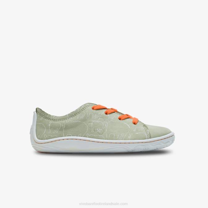 Vivobarefoot Addis Lewa Juniors B2LJ226 Sage